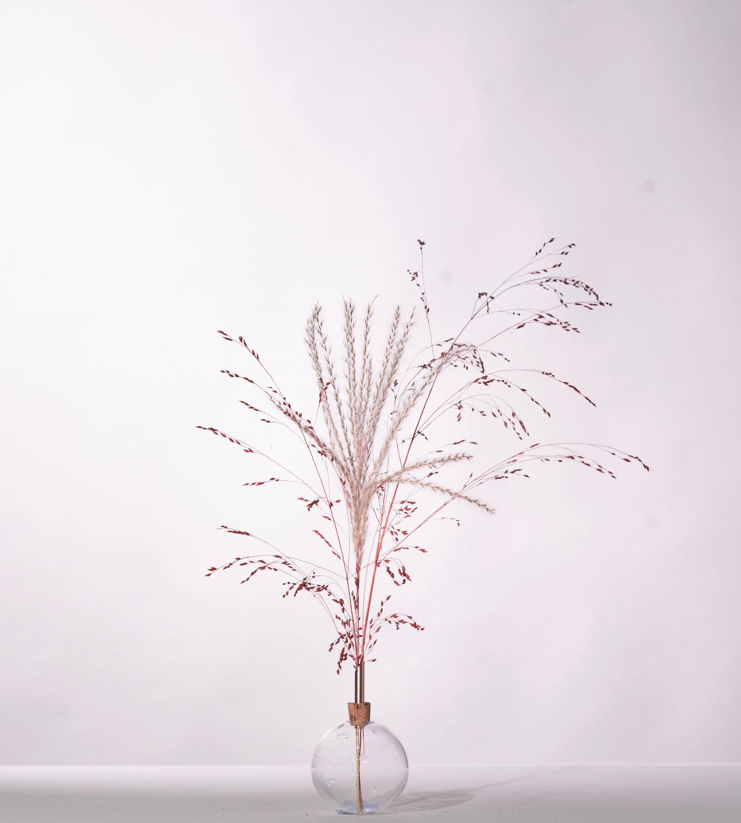 Glasilium Vase Transparent