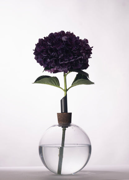 Glasilium Vase Black