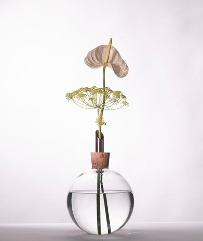 Glasilium Vase Transparent