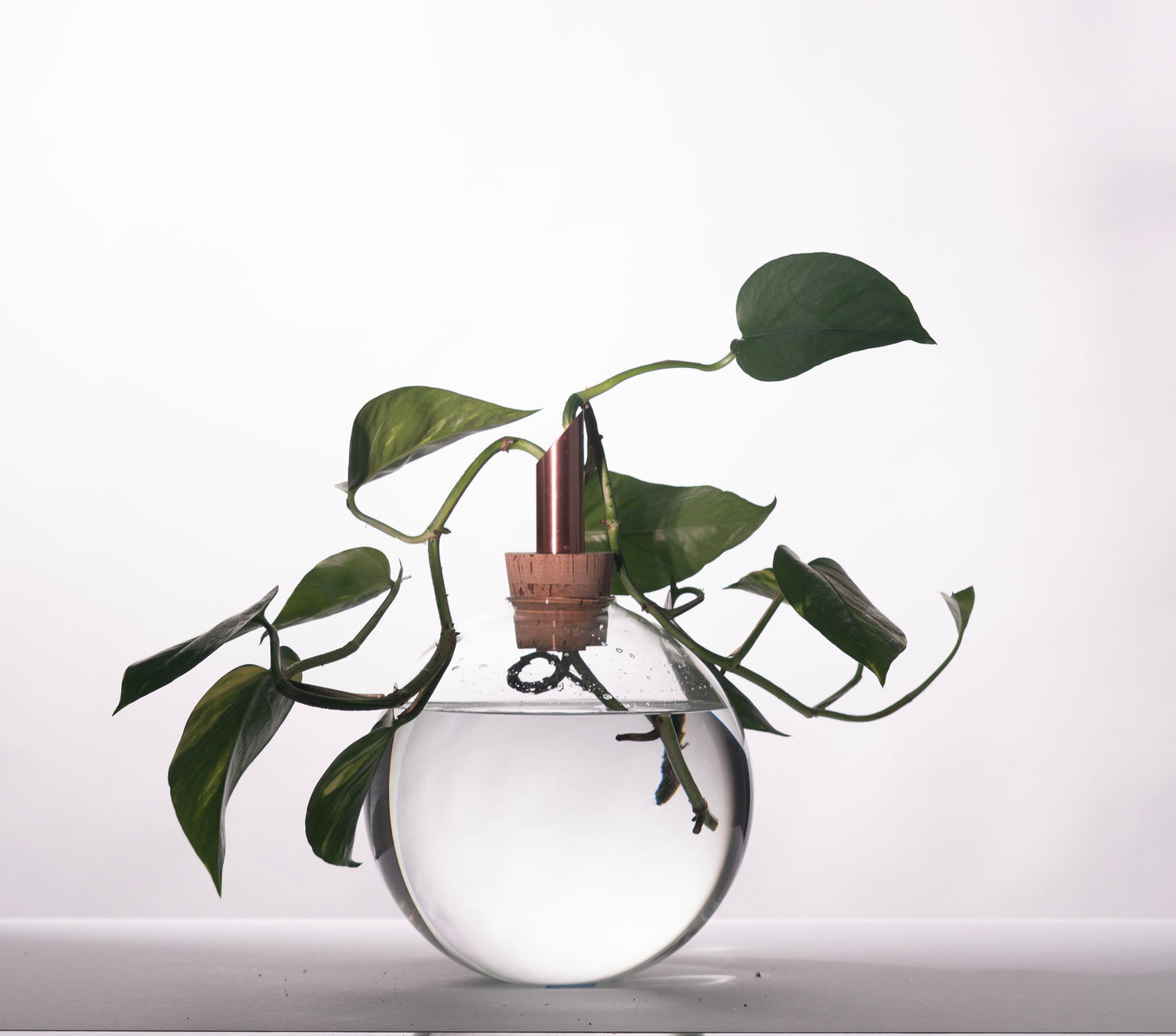 Glasilium Vase Transparent