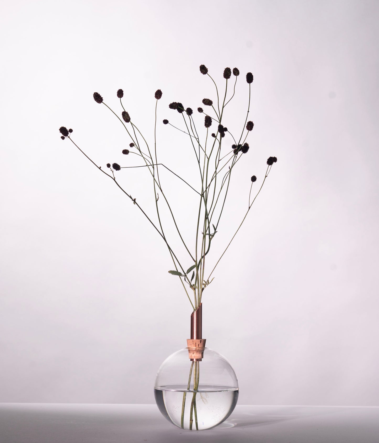 Glasilium Vase Transparent