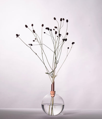 Glasilium Vase Transparent